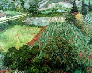 Feld mit Mohnblumen, 1889